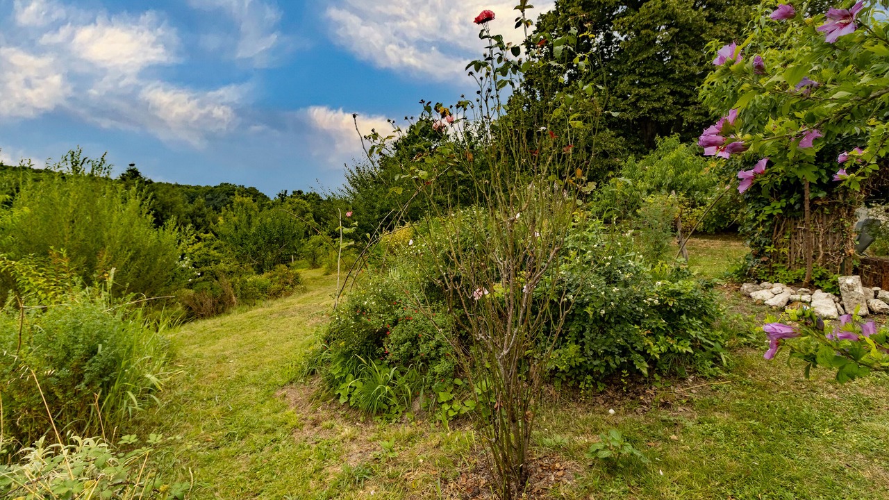 Photo of Outdoor in Chalais