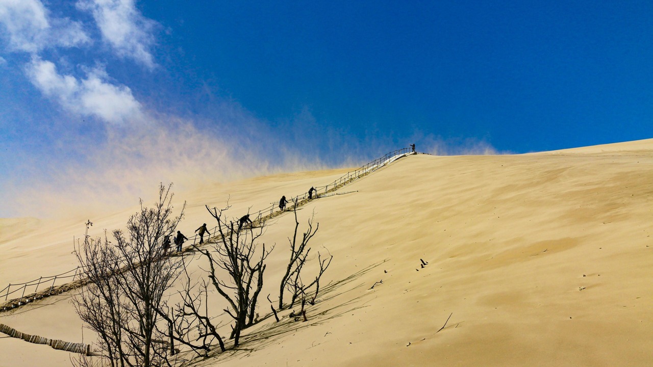 Photo of Others in Lacanau-Ocean