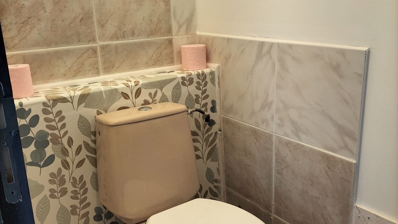 Photo of Bathroom in Chenay