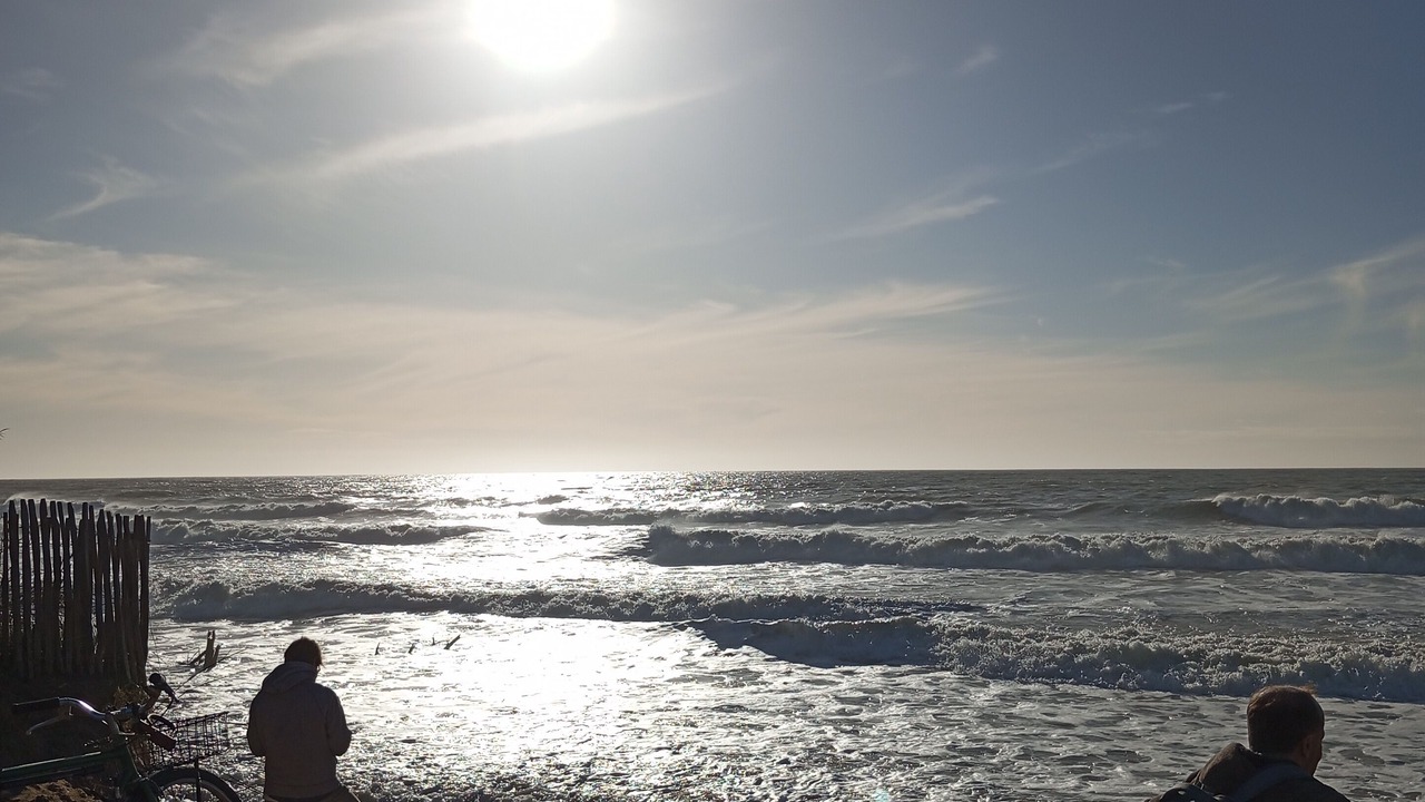 Photo of Others in Dolus-d'Oleron