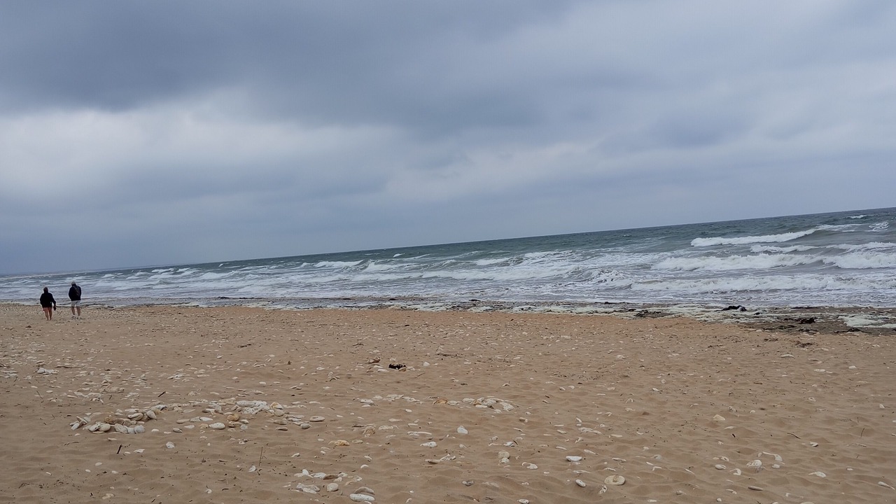 Photo of Others in Dolus-d'Oleron