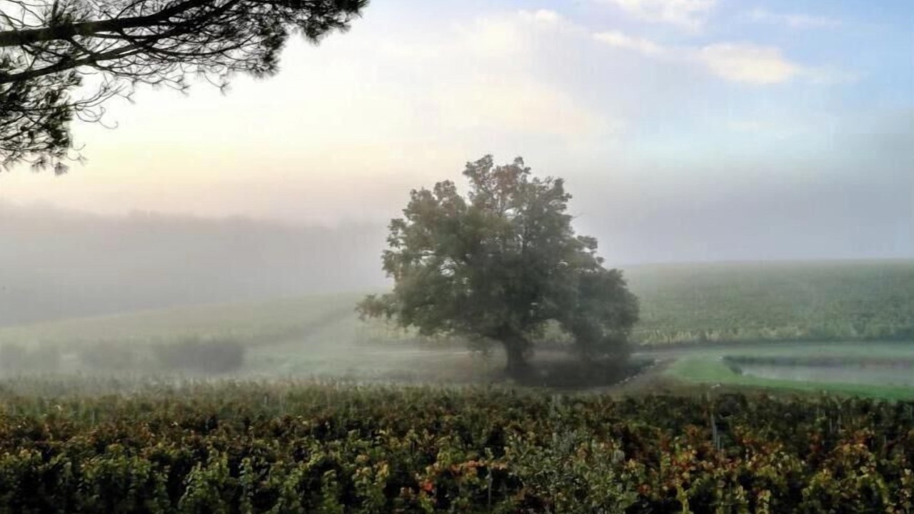 Photo of Outdoor in La Sauve