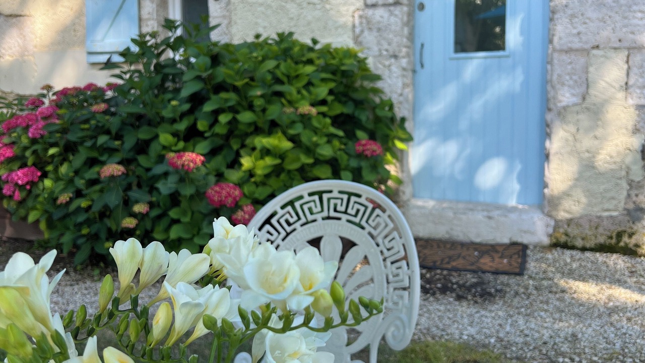 Photo of Outdoor in Saint-Romain