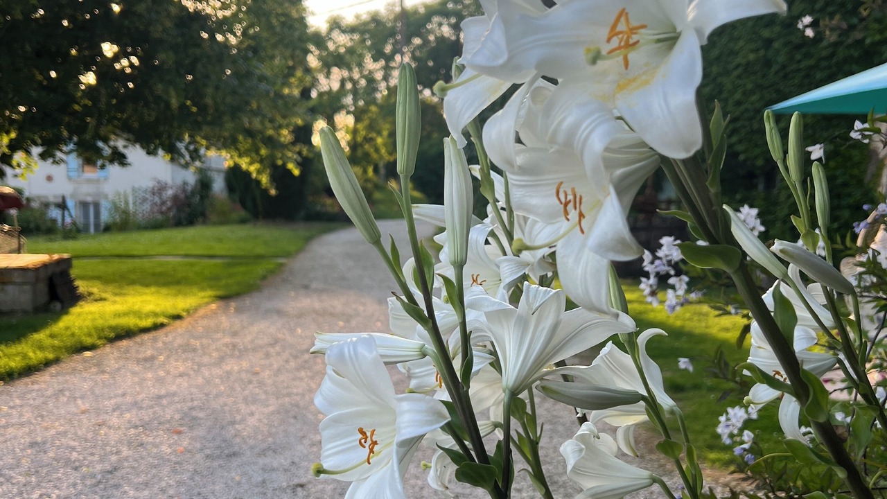 Photo of Outdoor in Saint-Romain