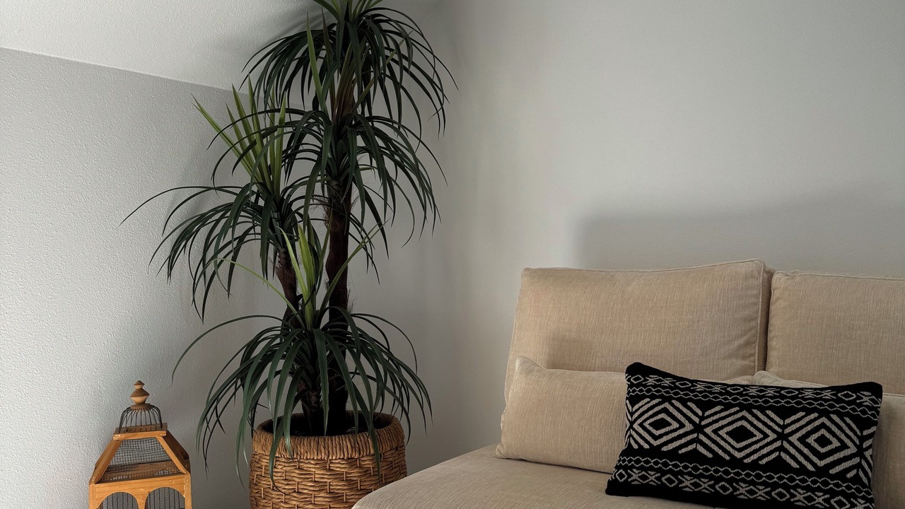 Photo of Livingroom in Objat
