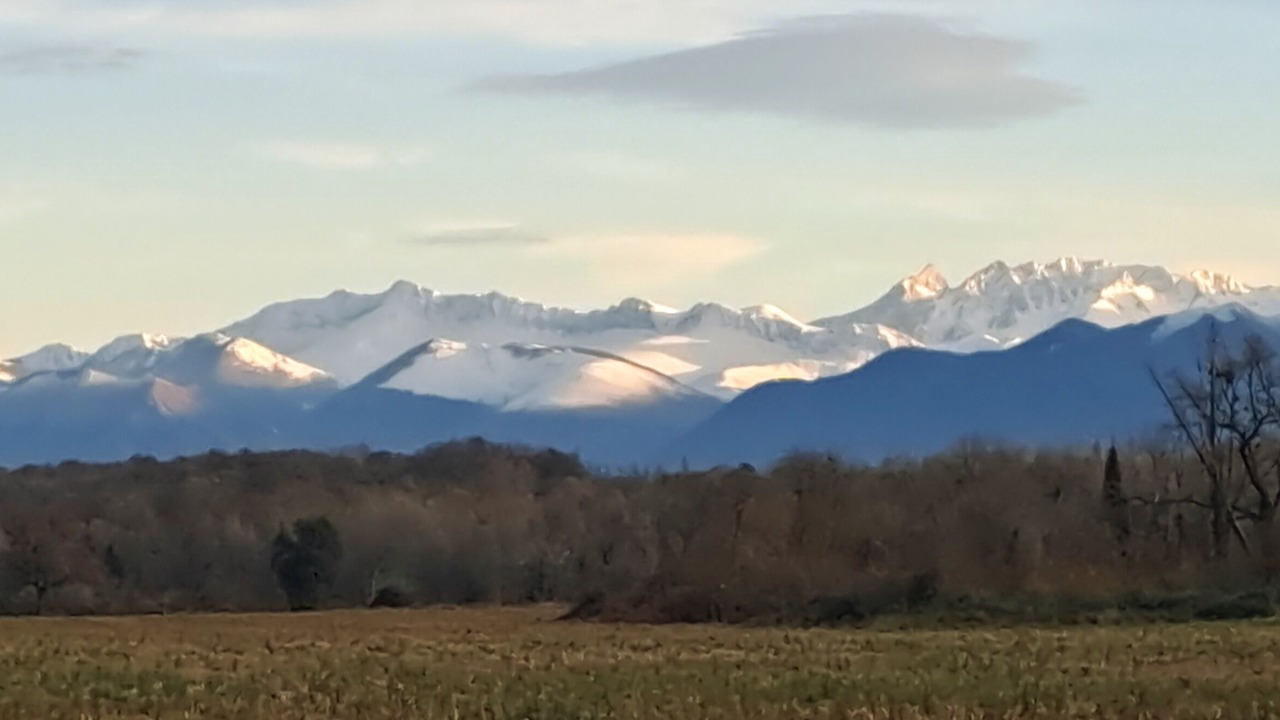 Photo of Outdoor in Poey-d'Oloron