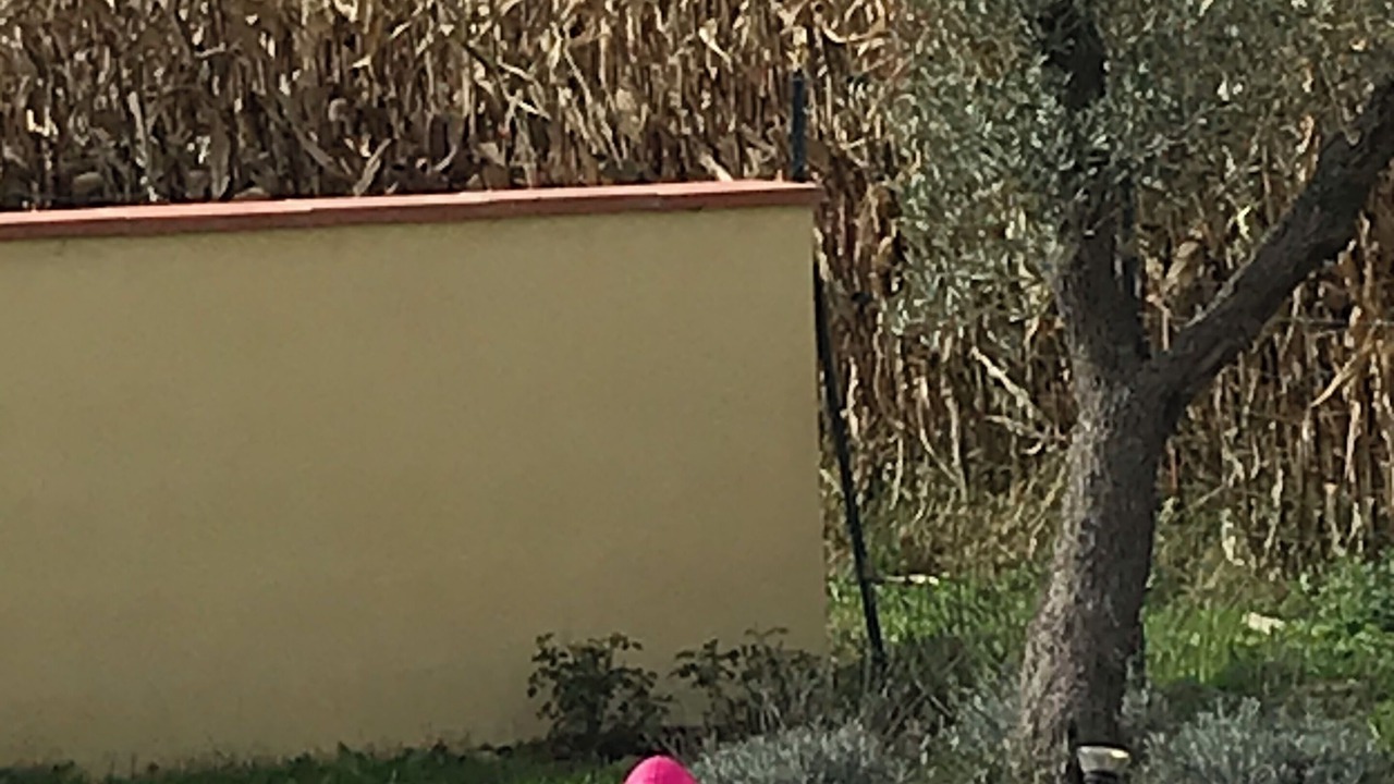 Photo of Outdoor in Barinque