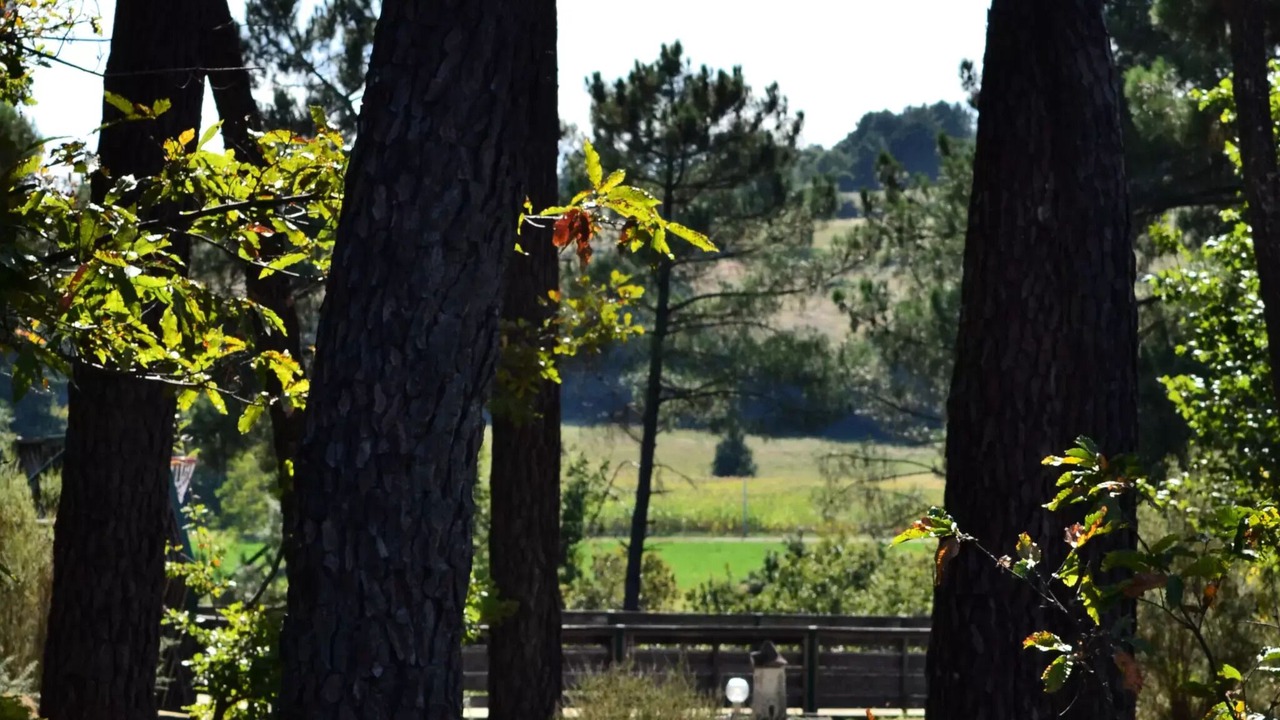 Photo of Outdoor in Tamnies