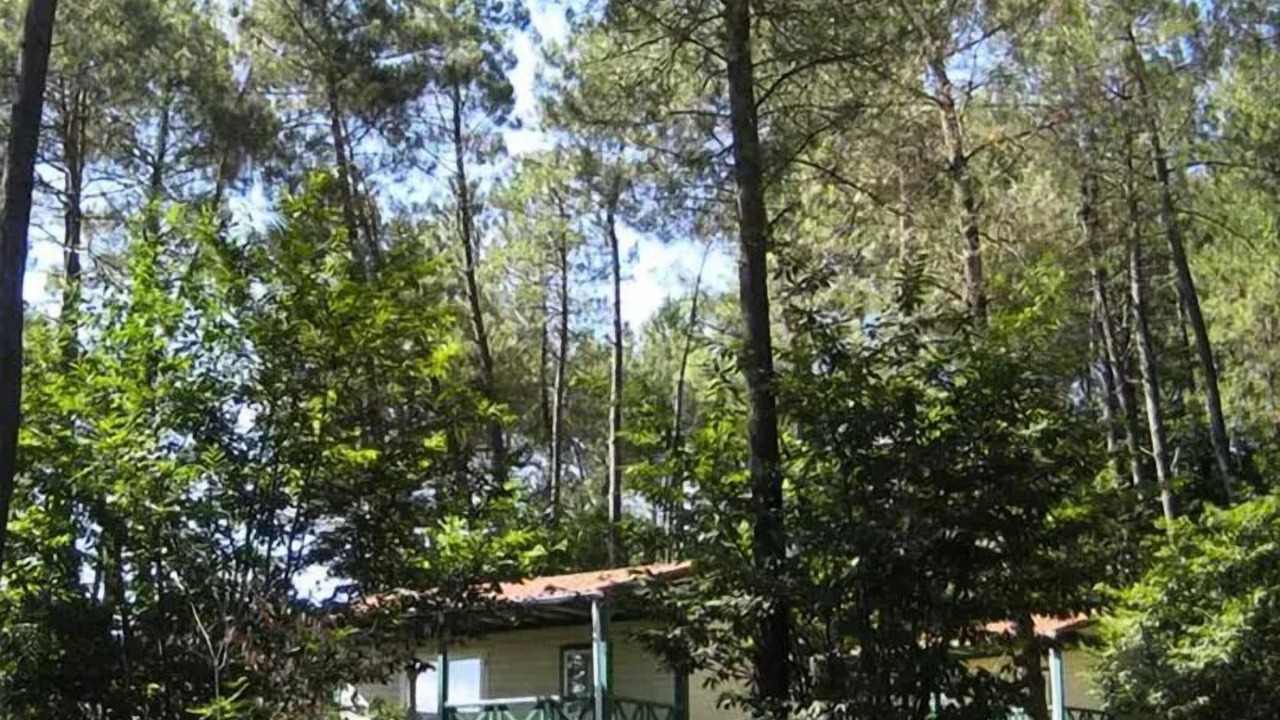 Photo of Outdoor in Tamnies