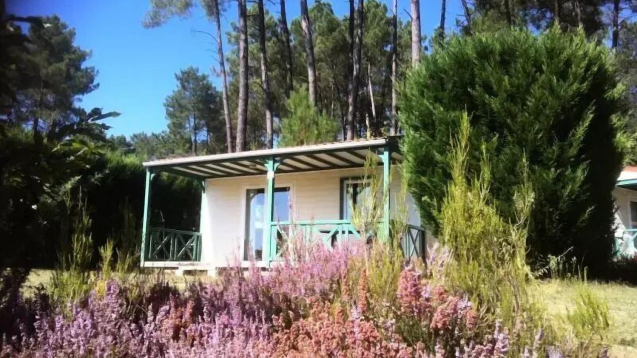 Photo of Outdoor in Tamnies