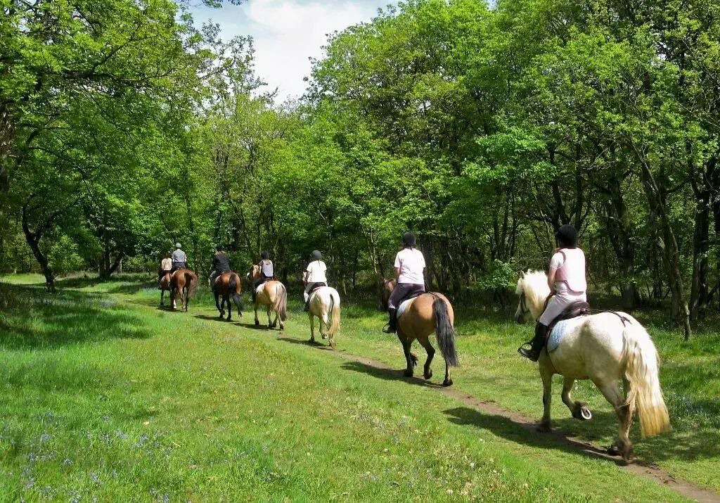Photo of Others in Tamnies