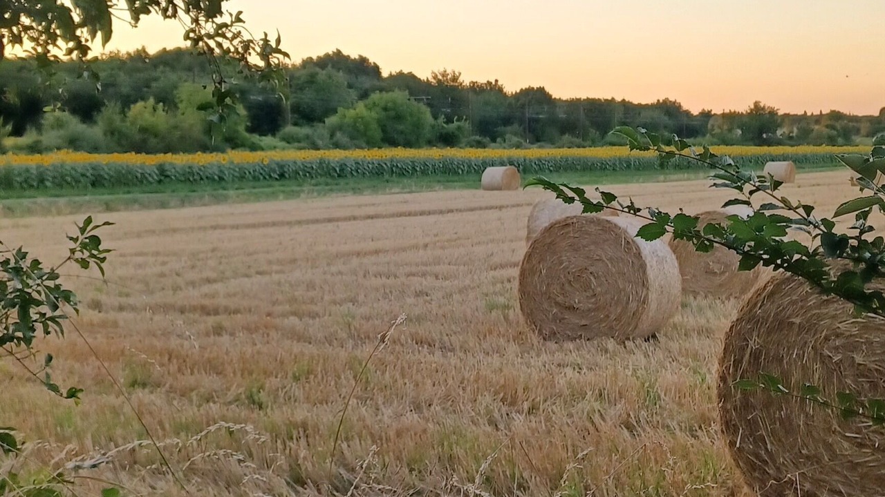 Photo of Others in Saint-Macoux