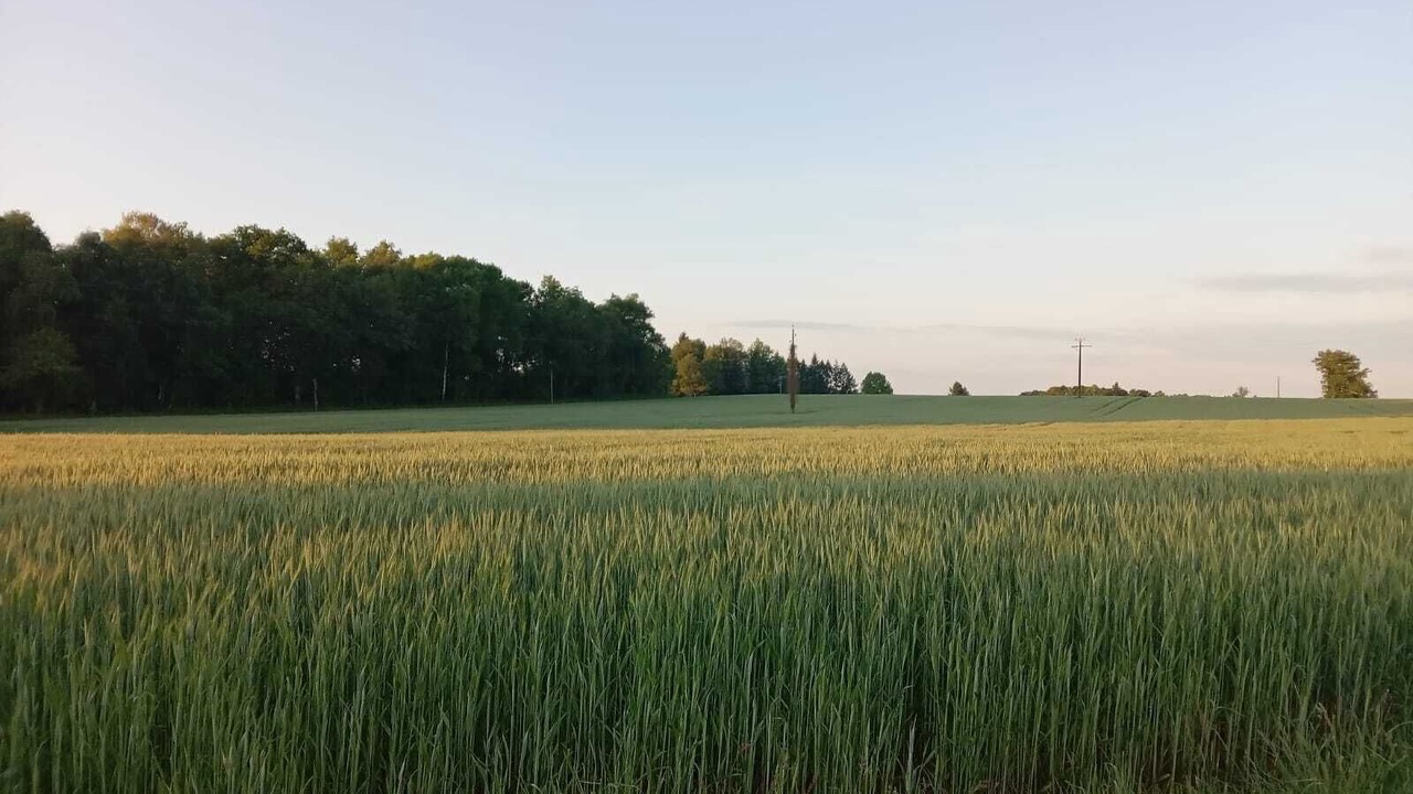 Photo of Others in Roussines