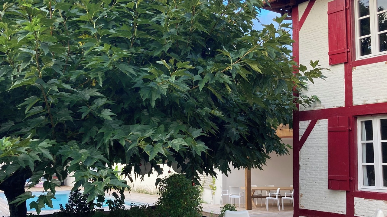 Photo of Outdoor in Leon