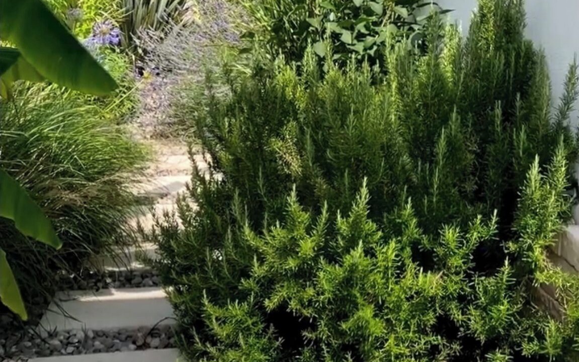 Photo of Outdoor in Saint-Palais-sur-Mer