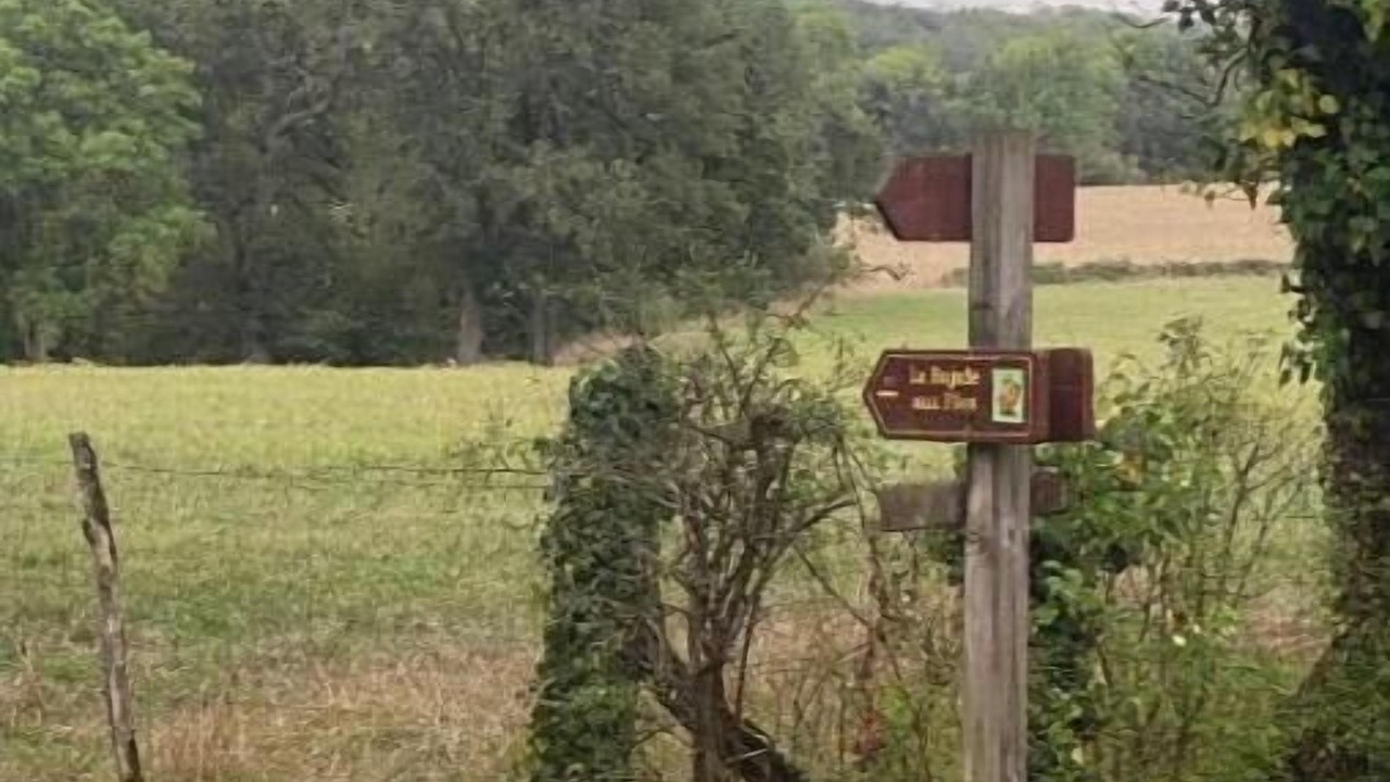 Photo of Outdoor in Journet