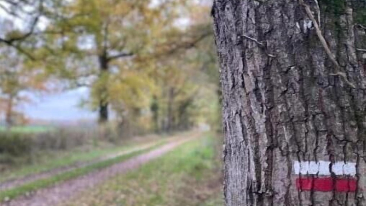Photo of Outdoor in Journet