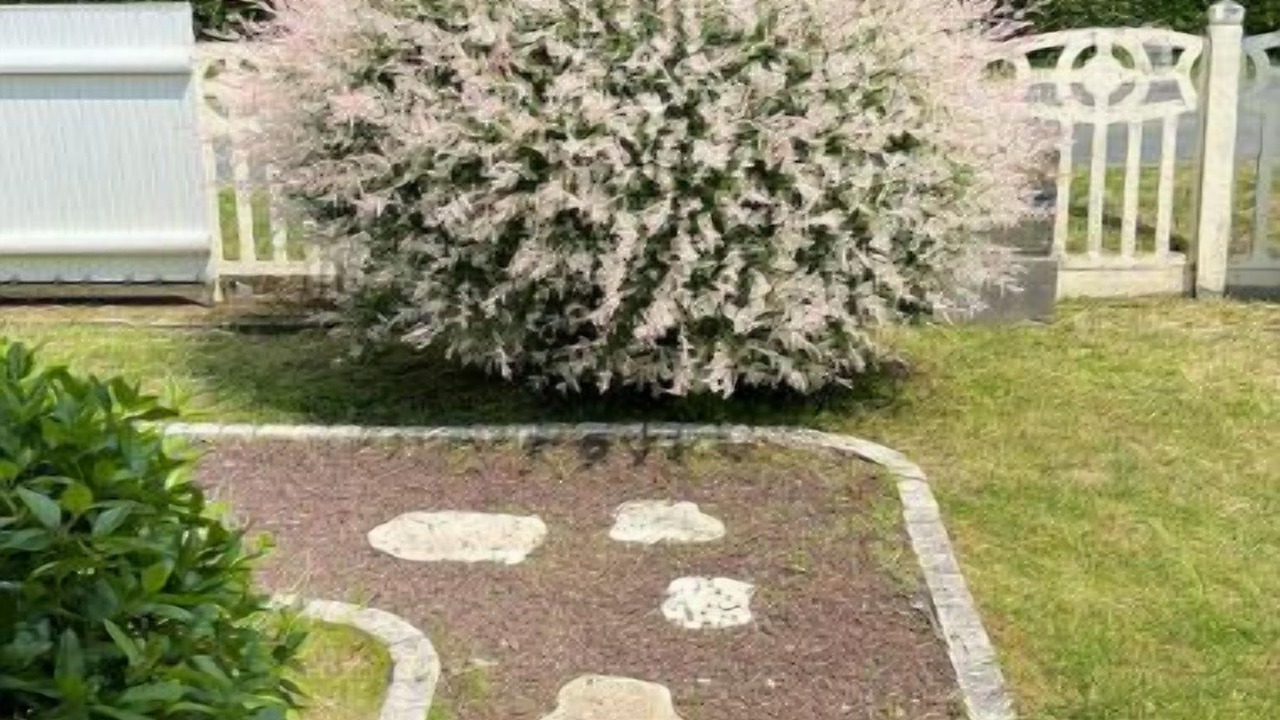 Photo of Outdoor in Saint-Vivien-de-Medoc