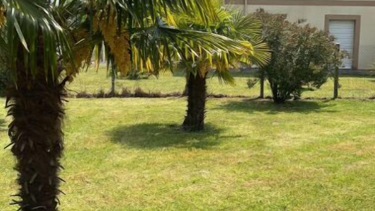 Photo of Outdoor in Saint-Vivien-de-Medoc
