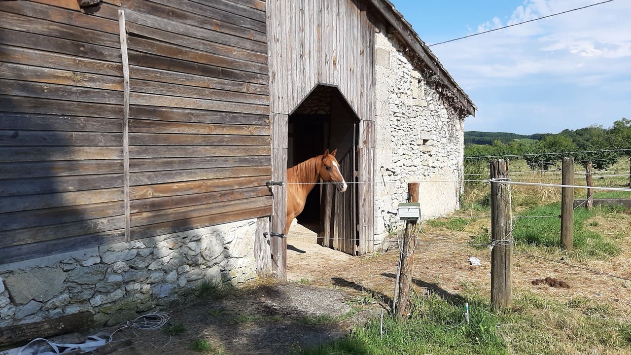 Photo of Outdoor in Monflanquin