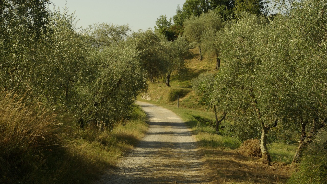 Photo of Outdoor in Aramo