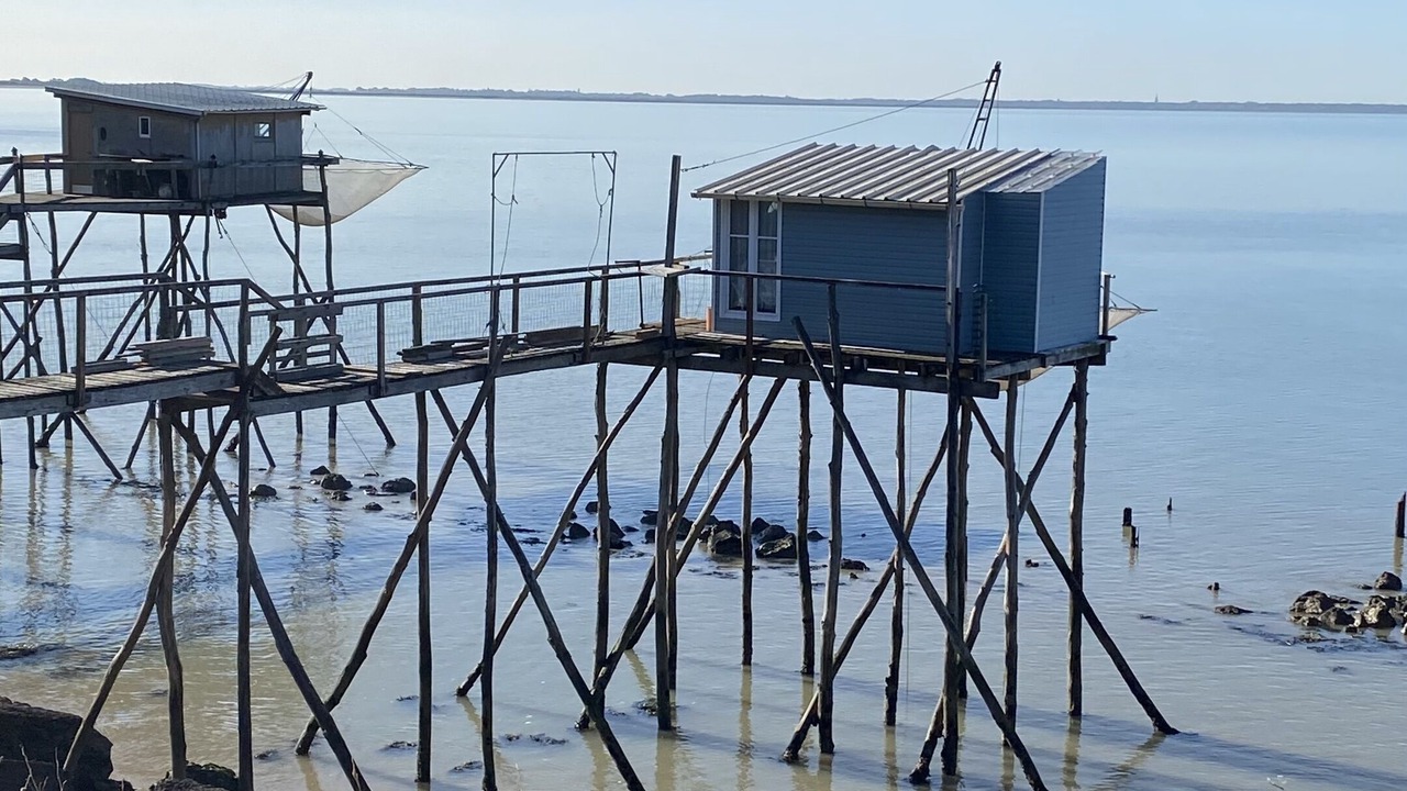 Photo of Others in Port-des-Barques