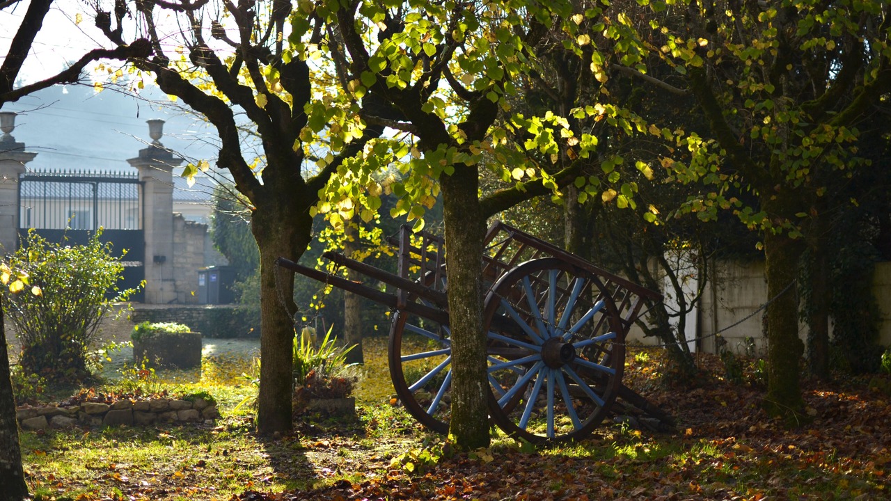 Photo of Outdoor in Chasseneuil-du-Poitou