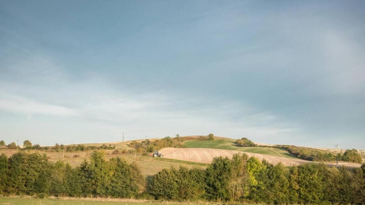 Photo of Others in Chalais
