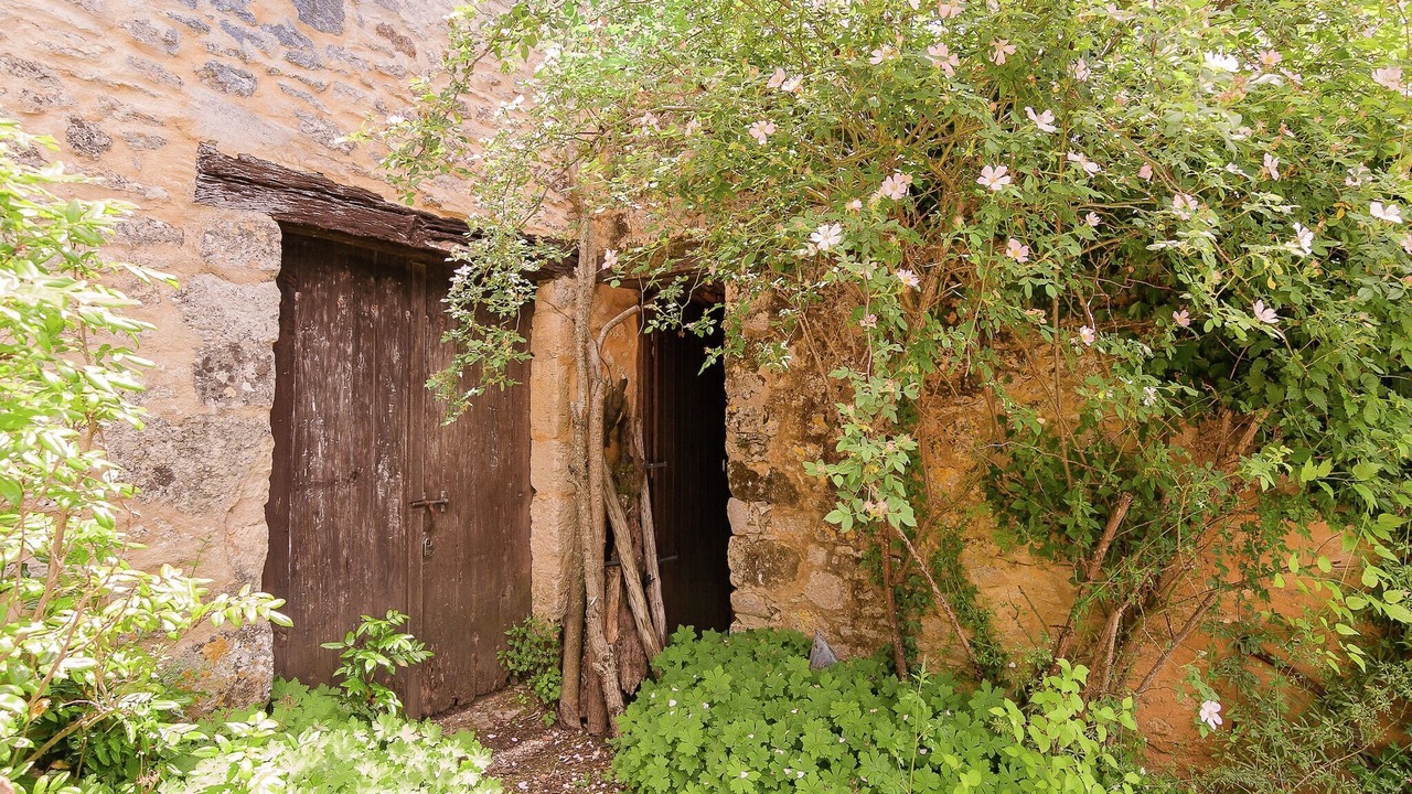 Photo of Others in Les Eyzies