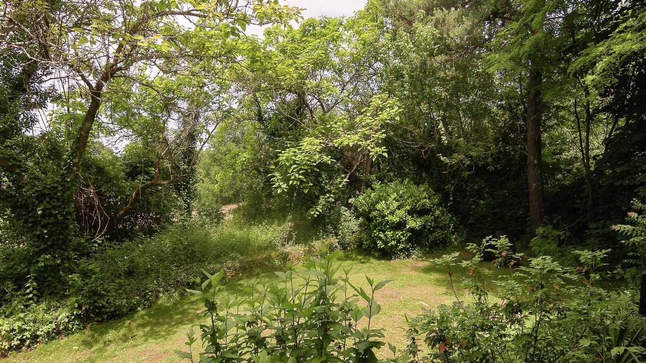 Photo of Others in Les Eyzies