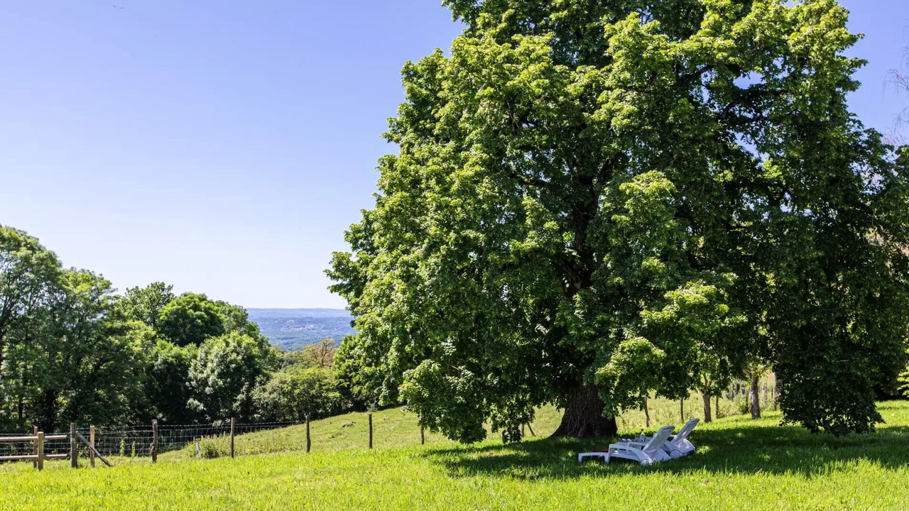 Photo of Outdoor in Albignac