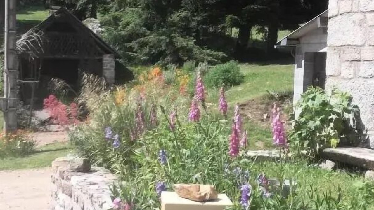 Photo of Outdoor in Saint-Yrieix-le-Dejalat