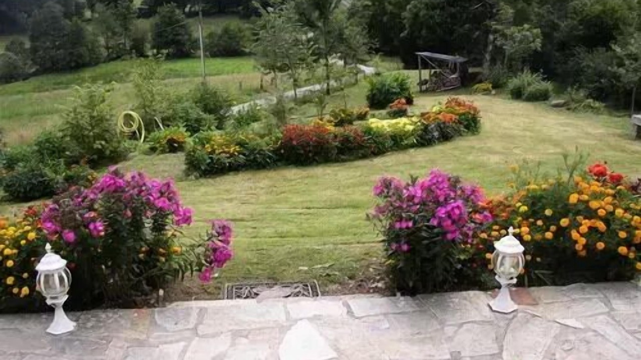 Photo of Outdoor in Sarroux-Saint-Julien