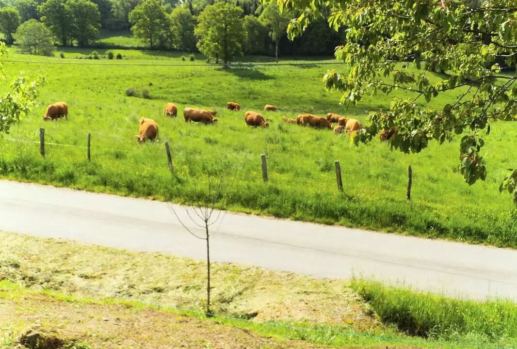 Photo of Others in Sarroux-Saint-Julien