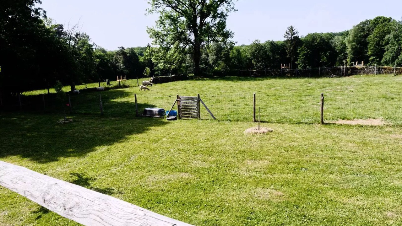 Photo of Outdoor in Saint-Merd-de-Lapleau