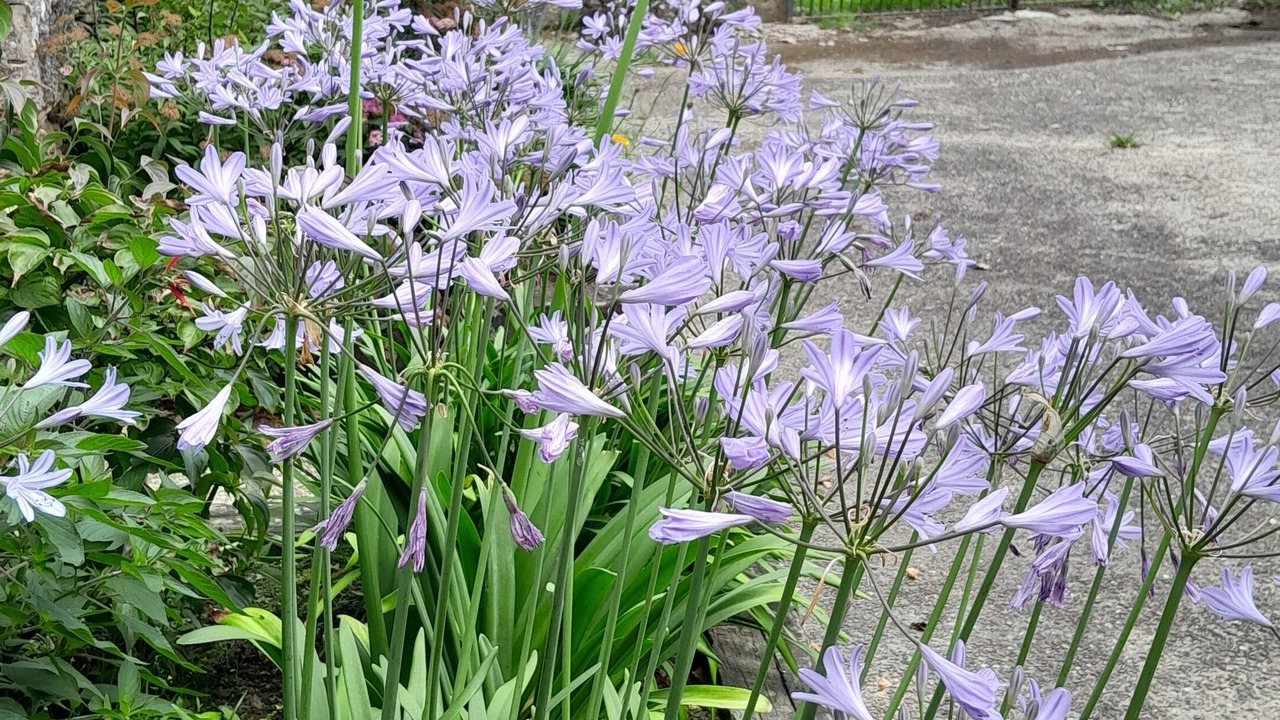 Photo of Outdoor in Piets-Plasence-Moustrou