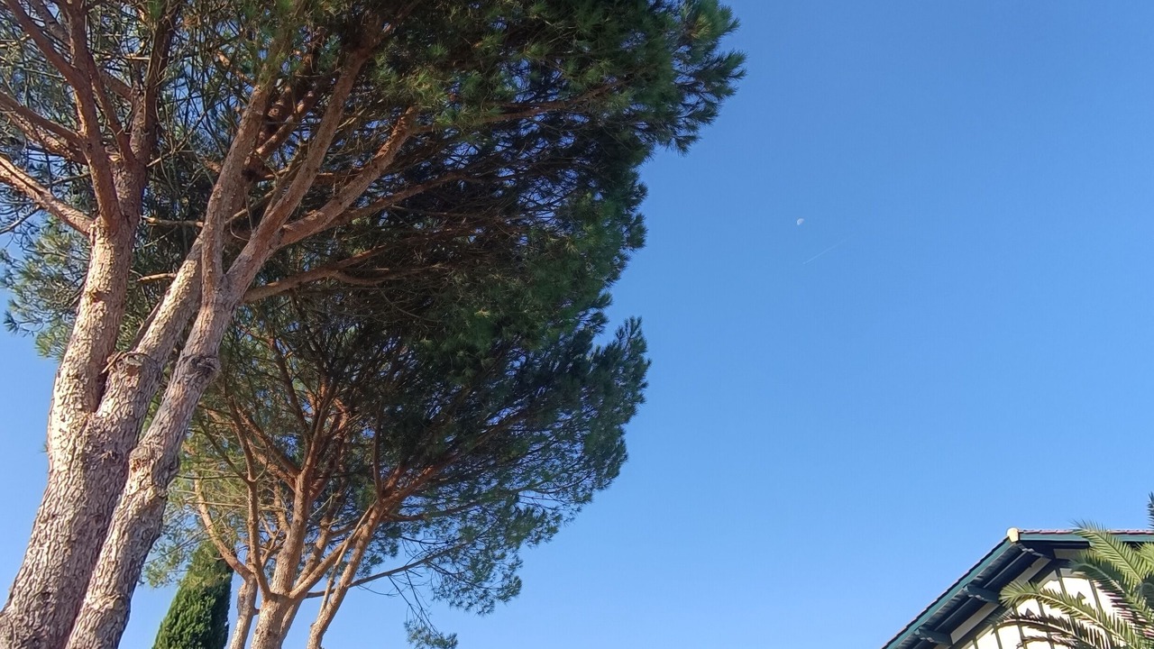 Photo of Outdoor in Bassussarry