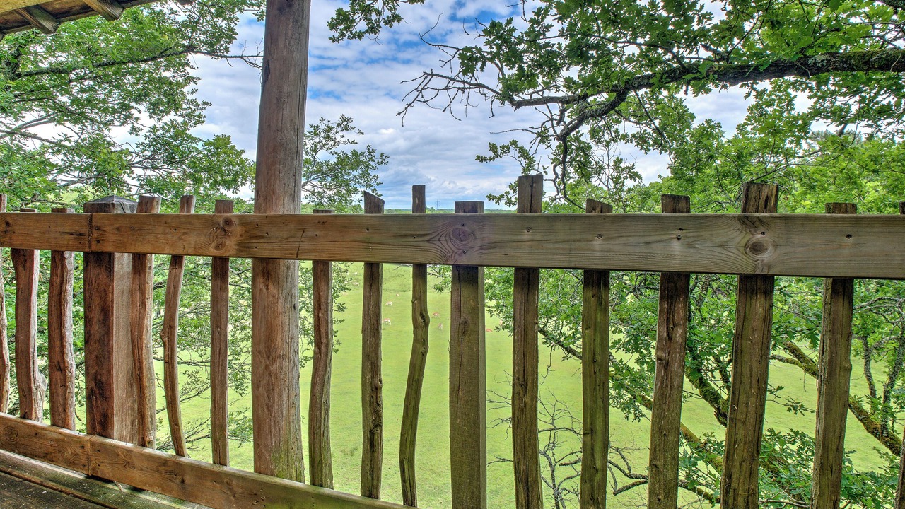 Photo of Outdoor in Saint-Remy