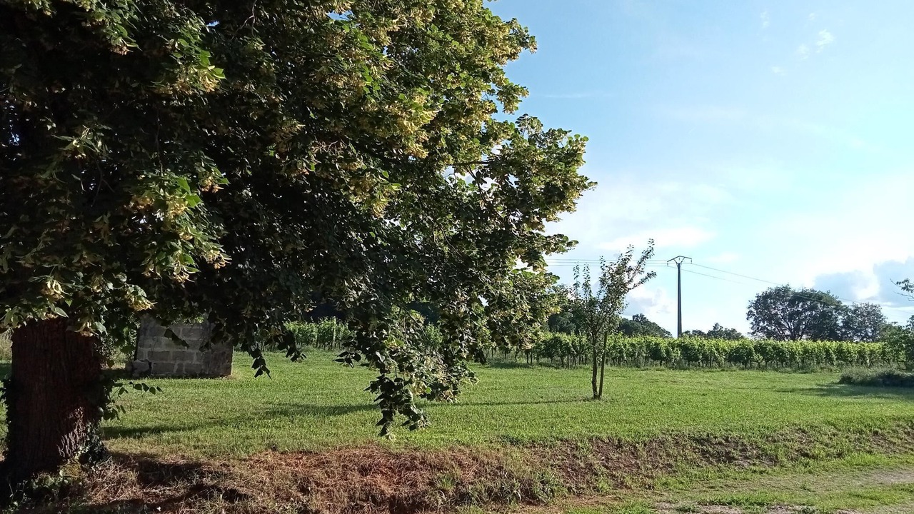 Photo of Others in Ruch