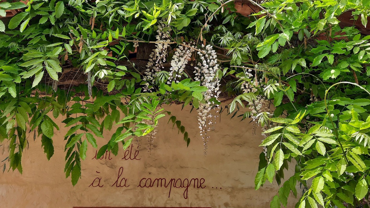 Photo of Outdoor in Saint-Maurice-sur-Adour
