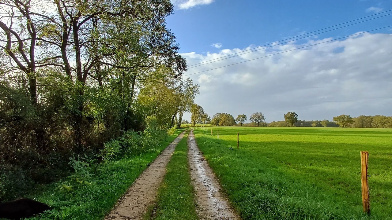 Photo of Others in Benest