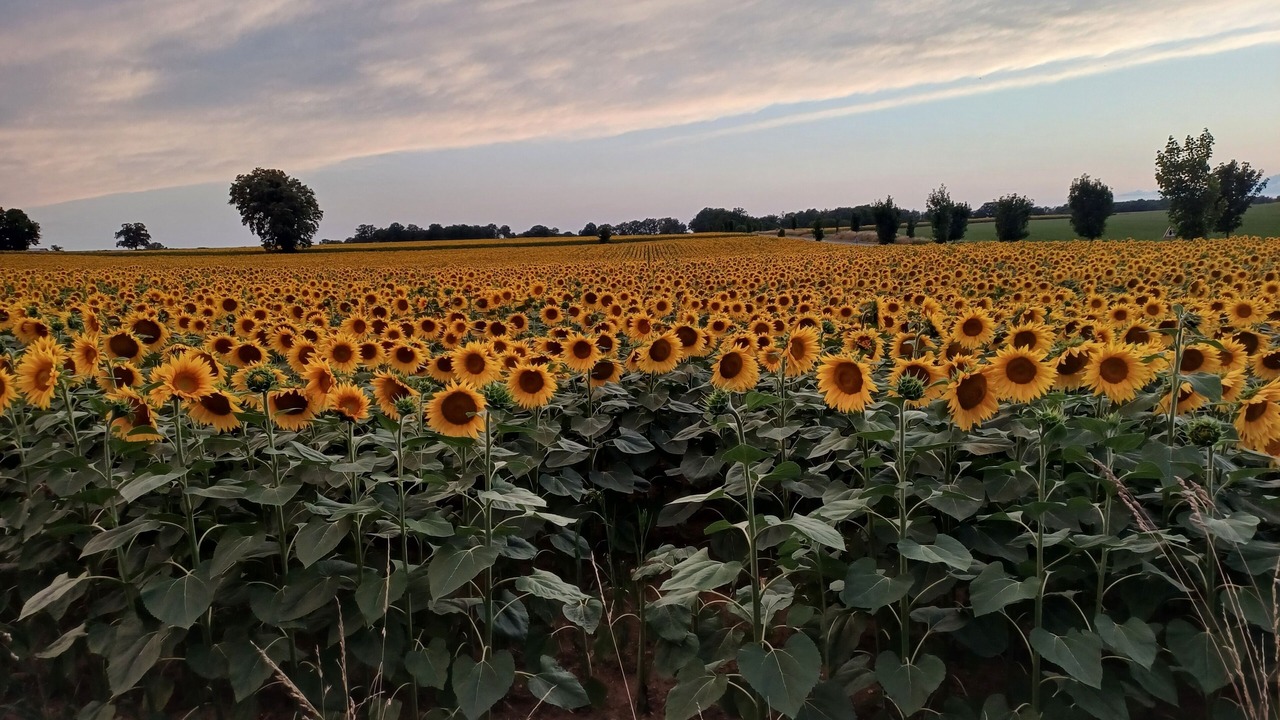 Photo of Outdoor in Benest