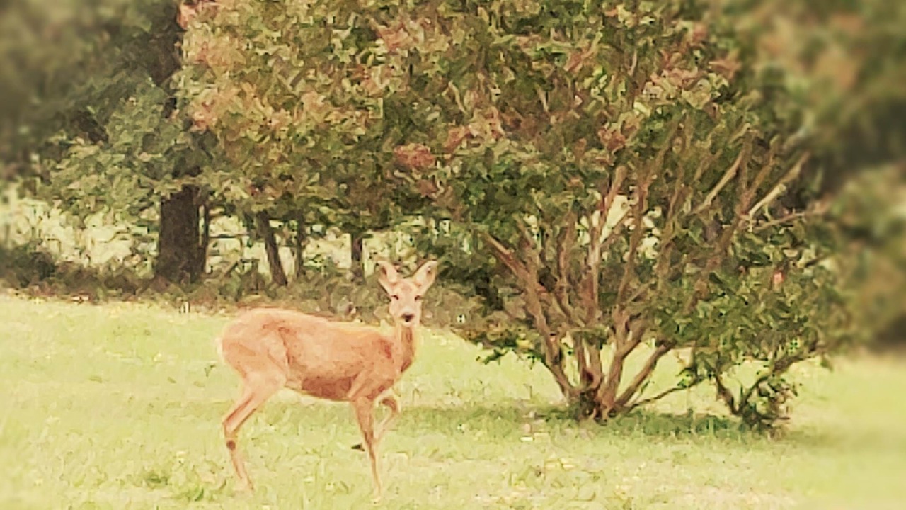 Photo of Others in Le Buisson-de-Cadouin