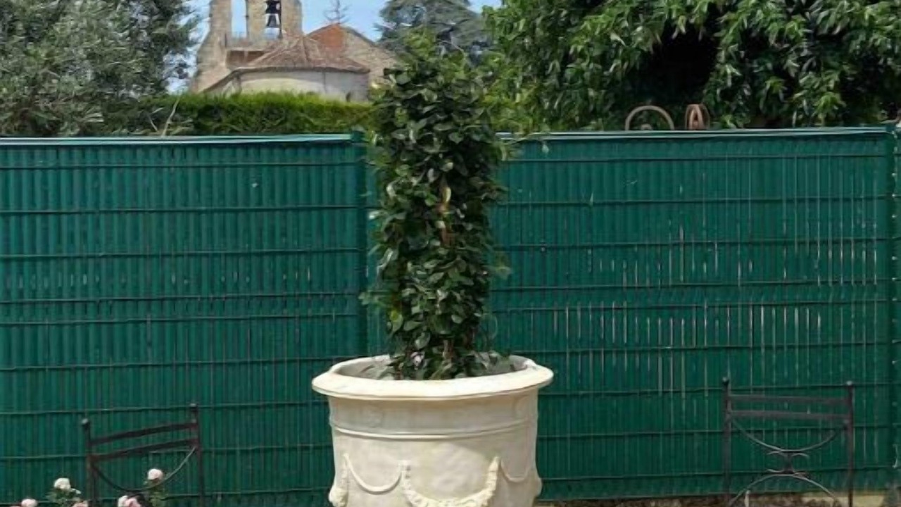 Photo of Outdoor in Merignas