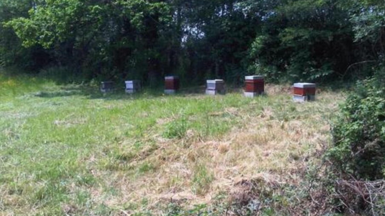 Photo of Outdoor in La Creche