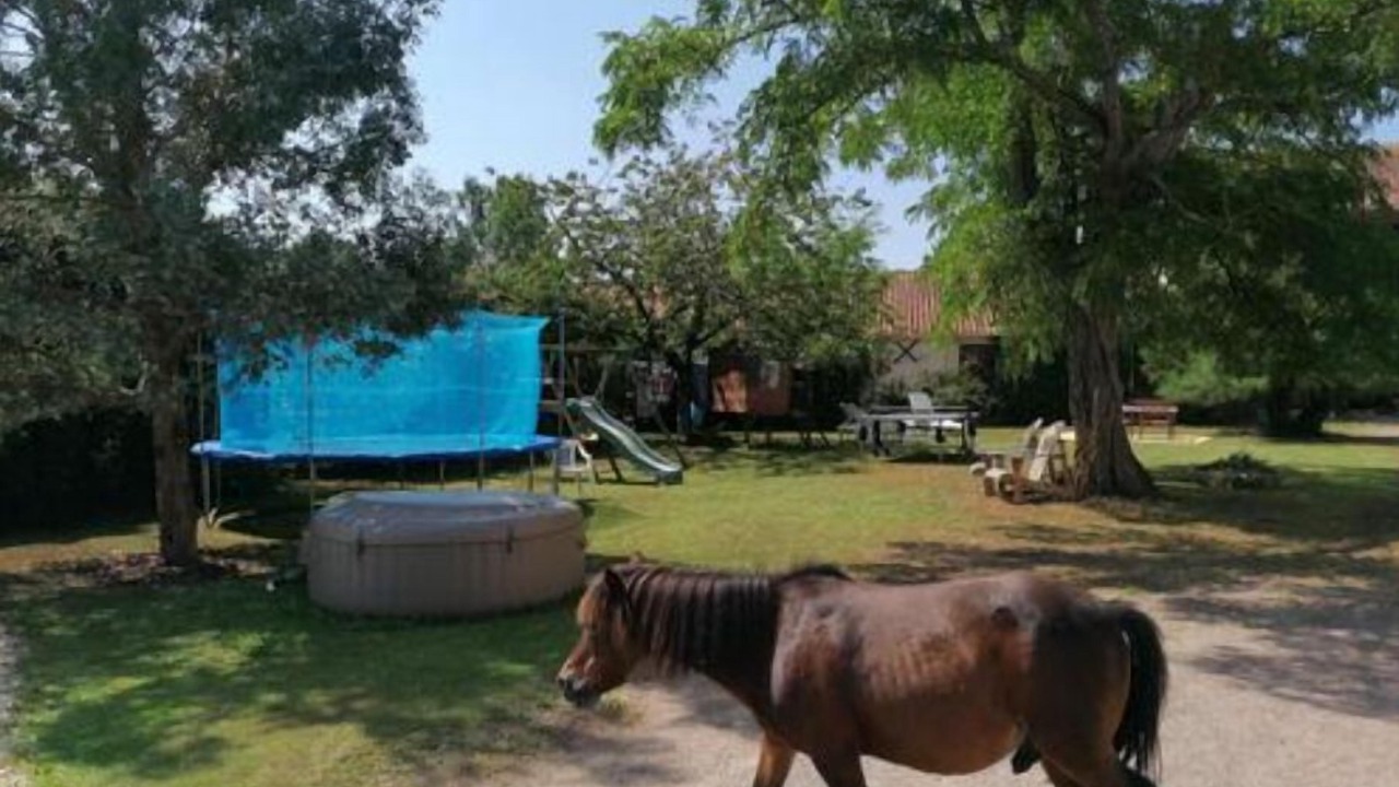 Photo of Outdoor in La Creche