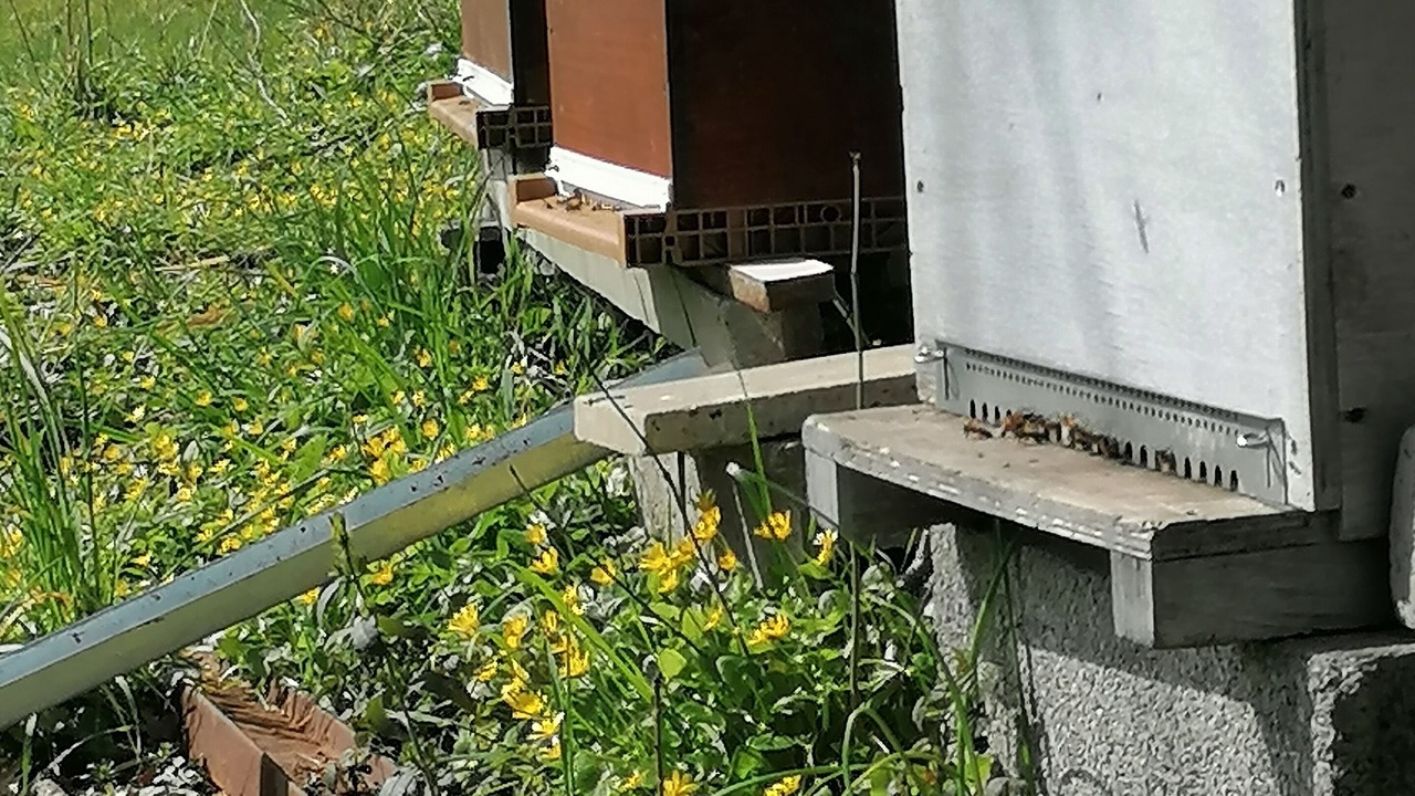 Photo of Outdoor in La Creche