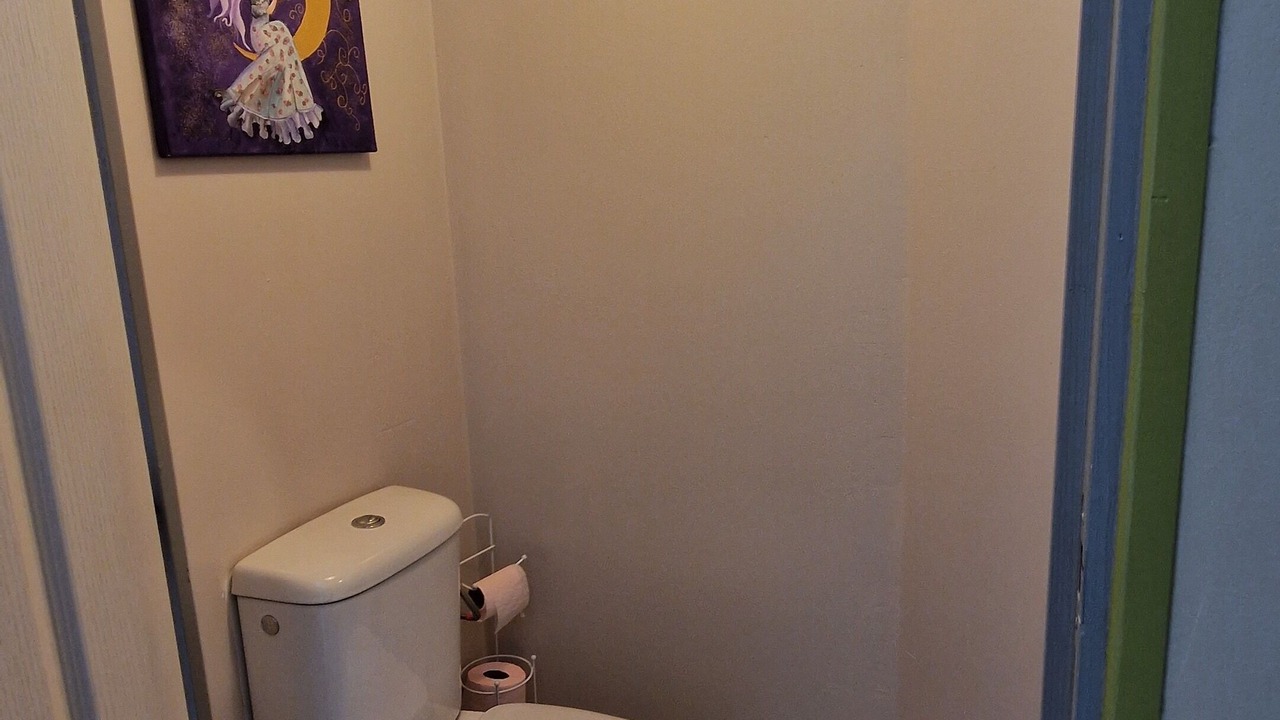 Photo of Bathroom in Vancais