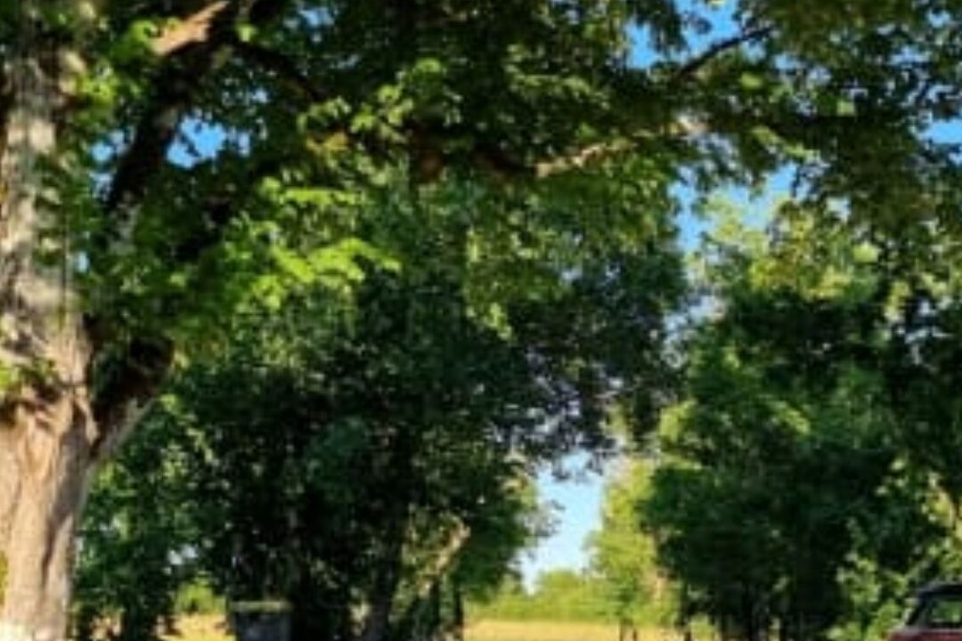 Photo of Outdoor in Boisse