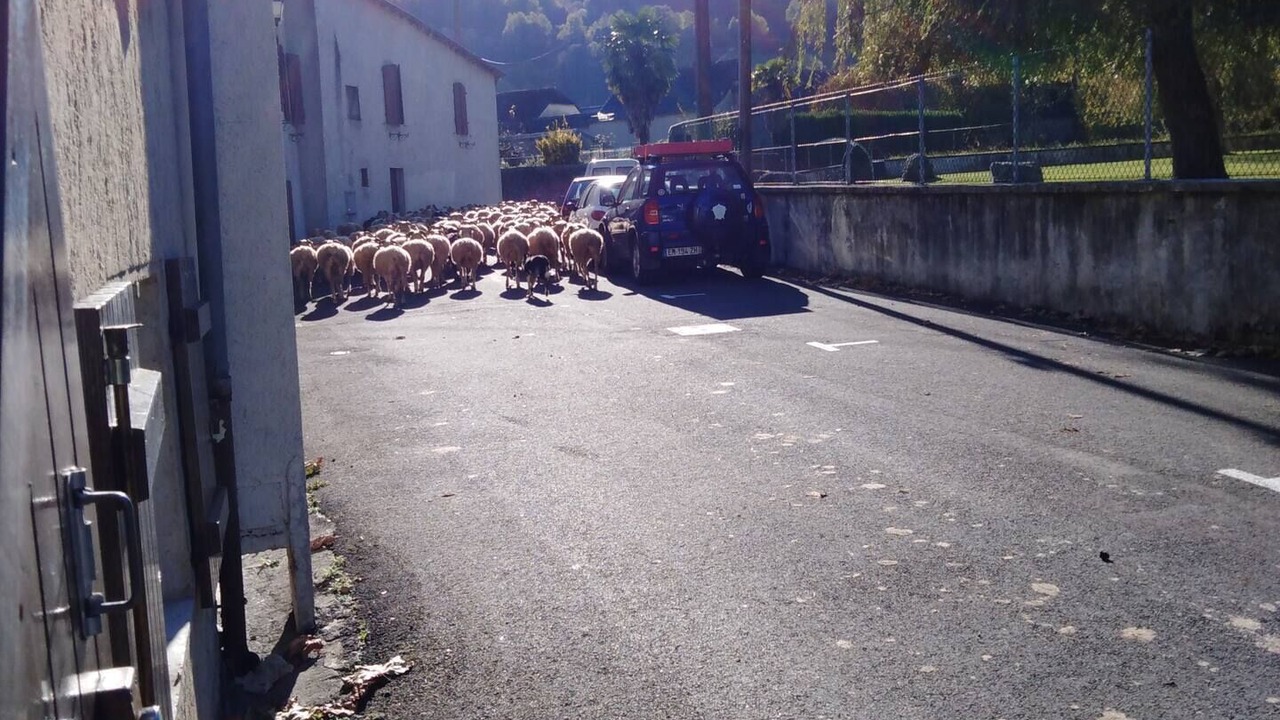 Photo of Outdoor in Bielle